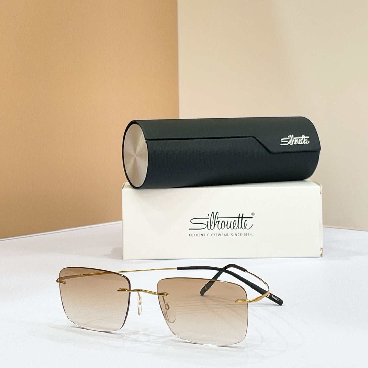 Silhouette Eyeglasses 5599 AB