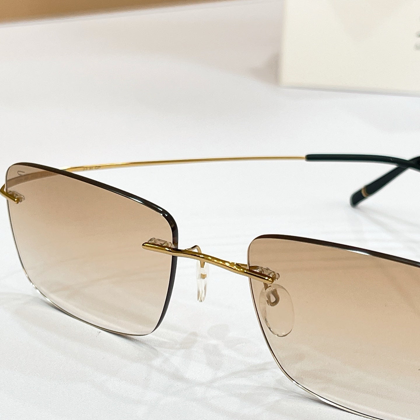 Silhouette Eyeglasses 5599 AB