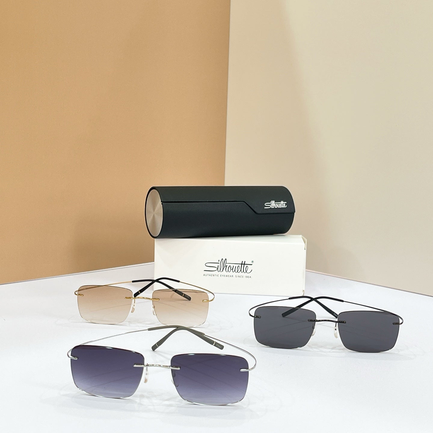 Silhouette Eyeglasses 5599 AB