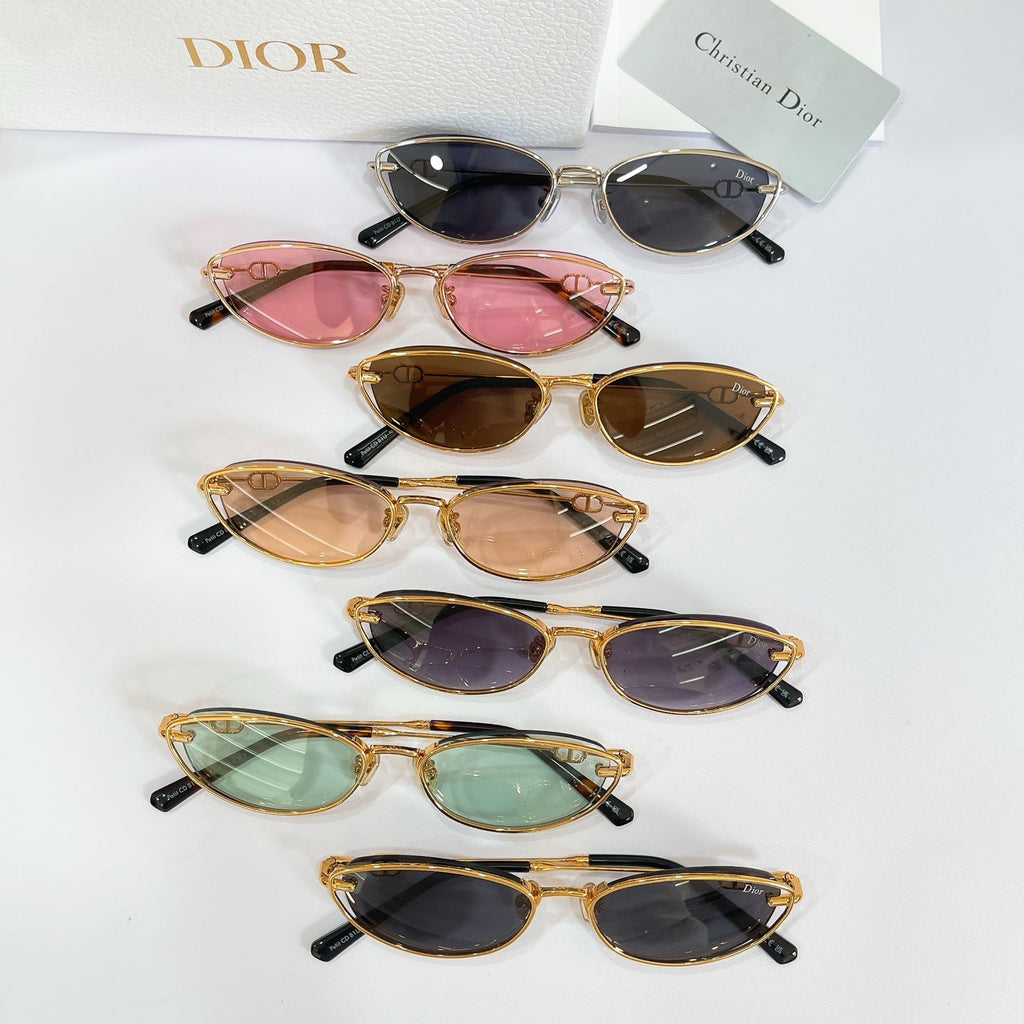 DIOR Sunglasses Petit CD B1U
