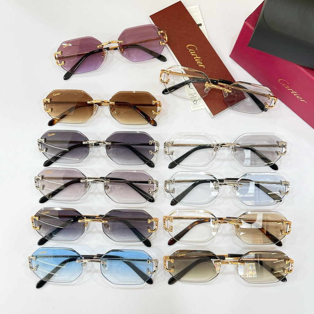 Cartier Sunglasses CT0834S