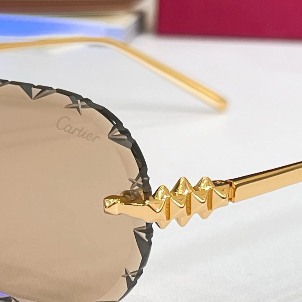 Cartier Optical Frames CT0682O